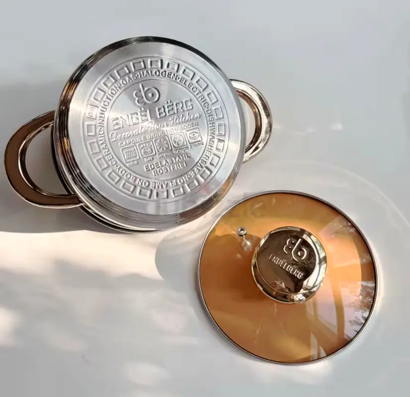 Elegant Engelberg Stainless Steel Pot with Lid