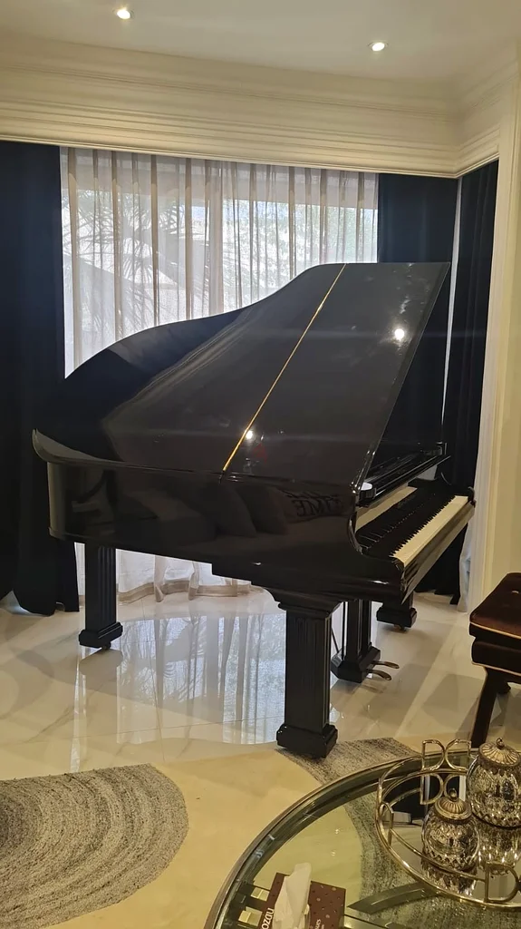Elegant Grand Piano - Perfect for All Music Lovers!63206383400451112