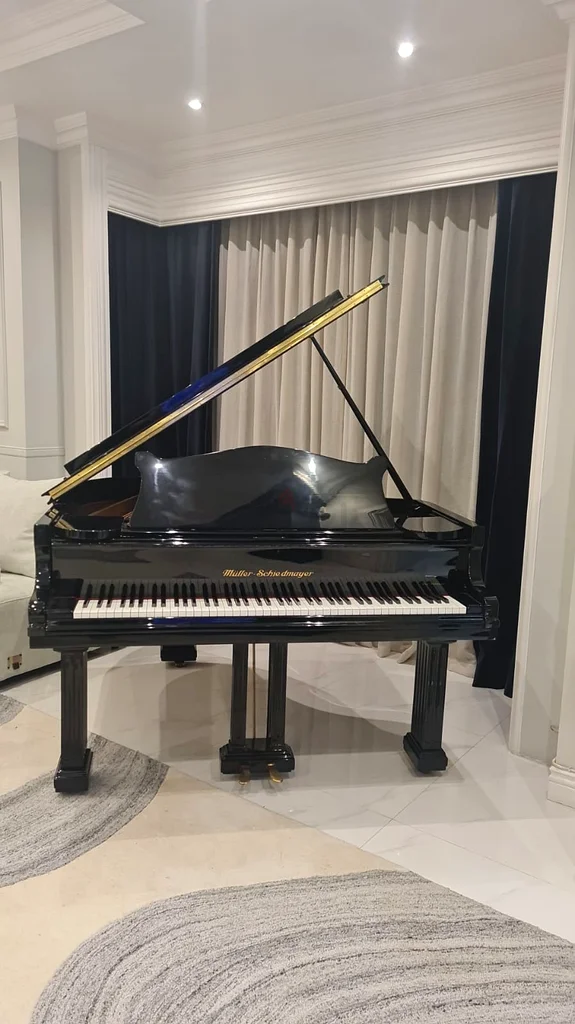 Elegant Grand Piano - Perfect for All Music Lovers!63206383400451113