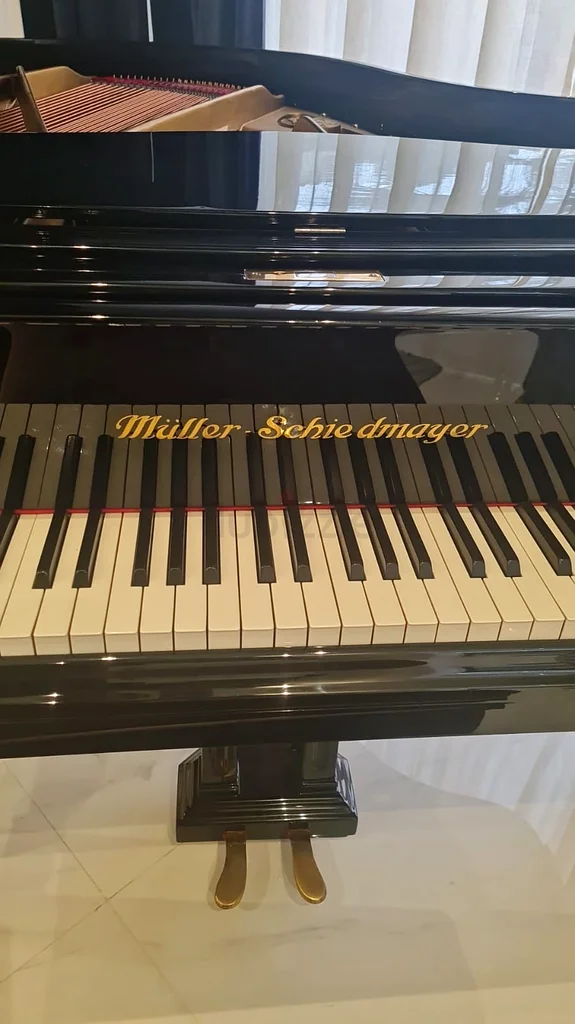 Elegant Grand Piano - Perfect for All Music Lovers!63206383400451111