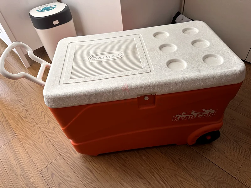 Spacious Cooler632529406964511115