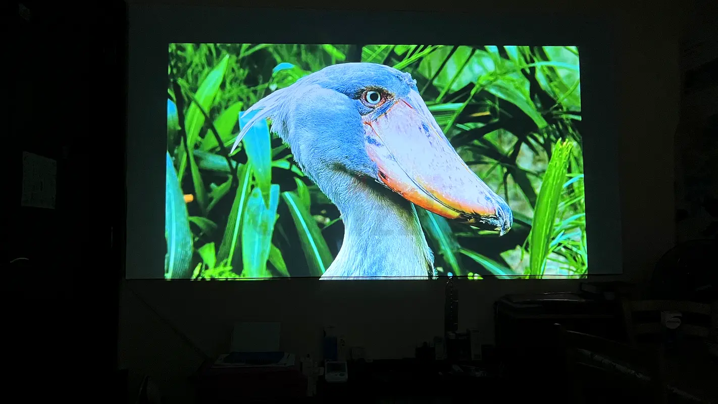 Projector63262381587330113