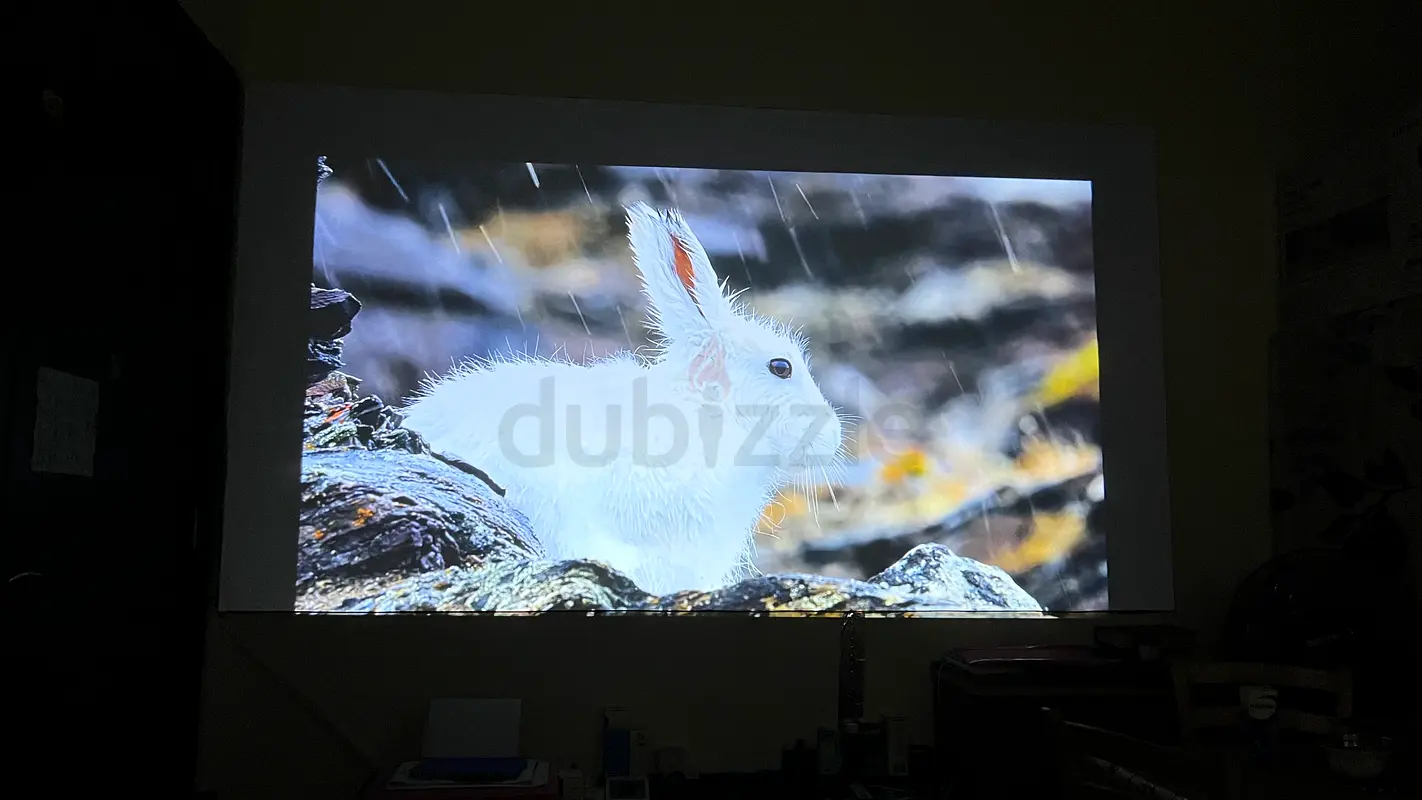 Projector63262381587330114
