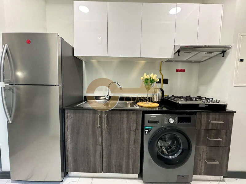 BRAND NEW APT | FULLY FURNISHED | MULTIPLE CHEQUES63735956463873112