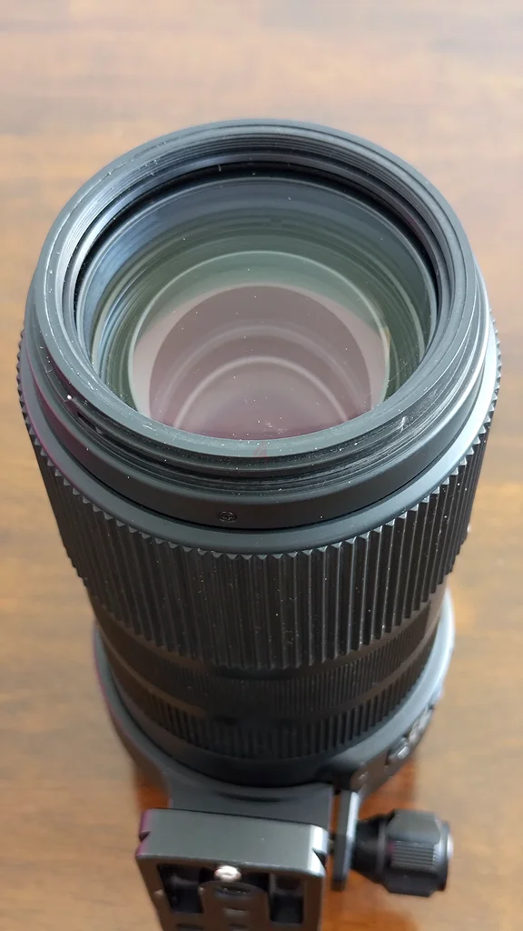 سيجما 100-400 مم f/5-6.3 DG DN OS كونتمبوري لهاتف كانون EF - زووم تيليفوتو لتصوير الحياة البرية63172680958082114
