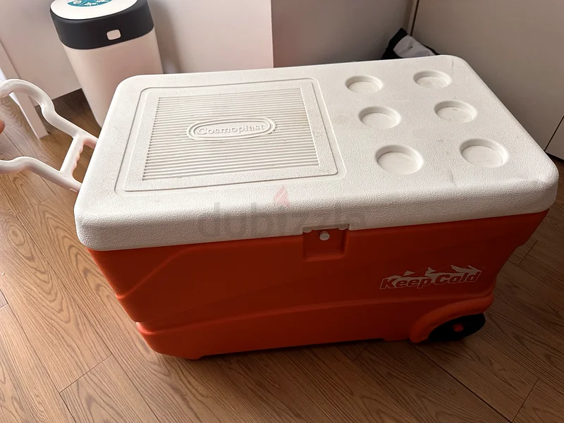Spacious Cooler63252940696451111