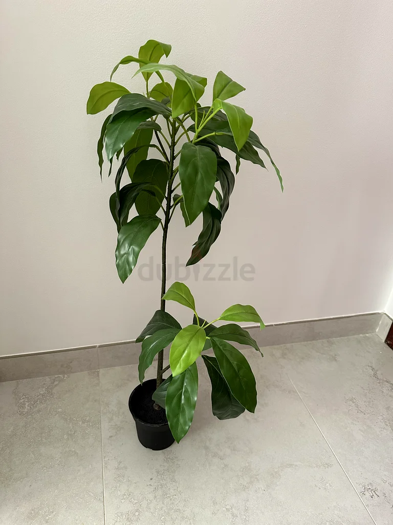 نبات اصطناعي63211423433089111