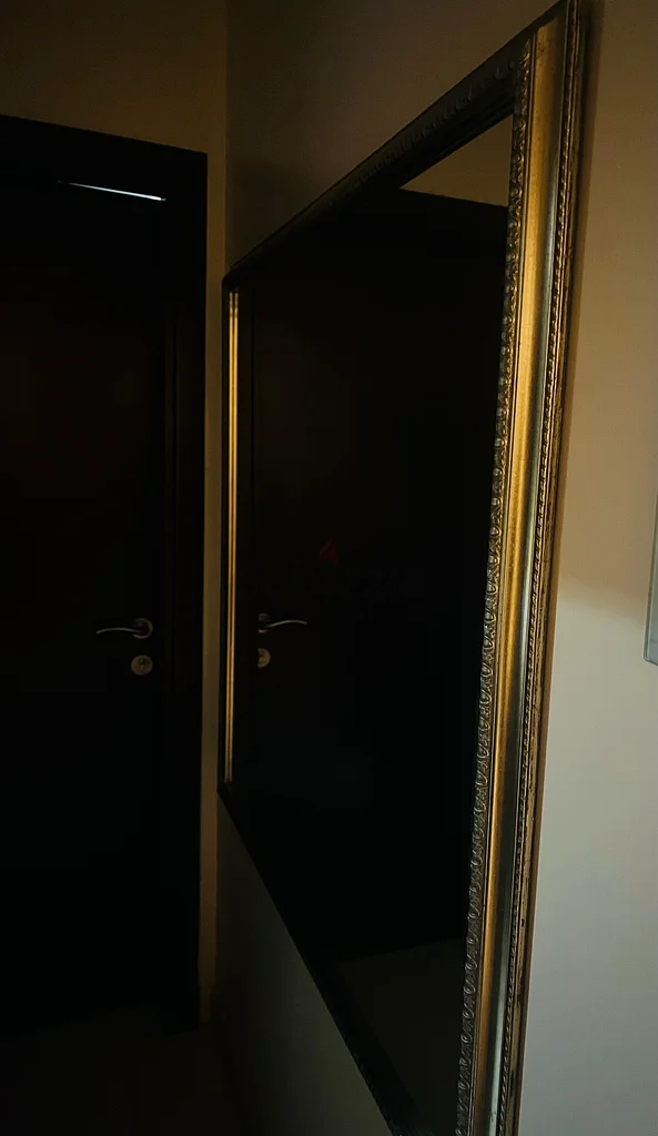 مرآة طويلة أنيقة بإطار مزخرف63184219901569111