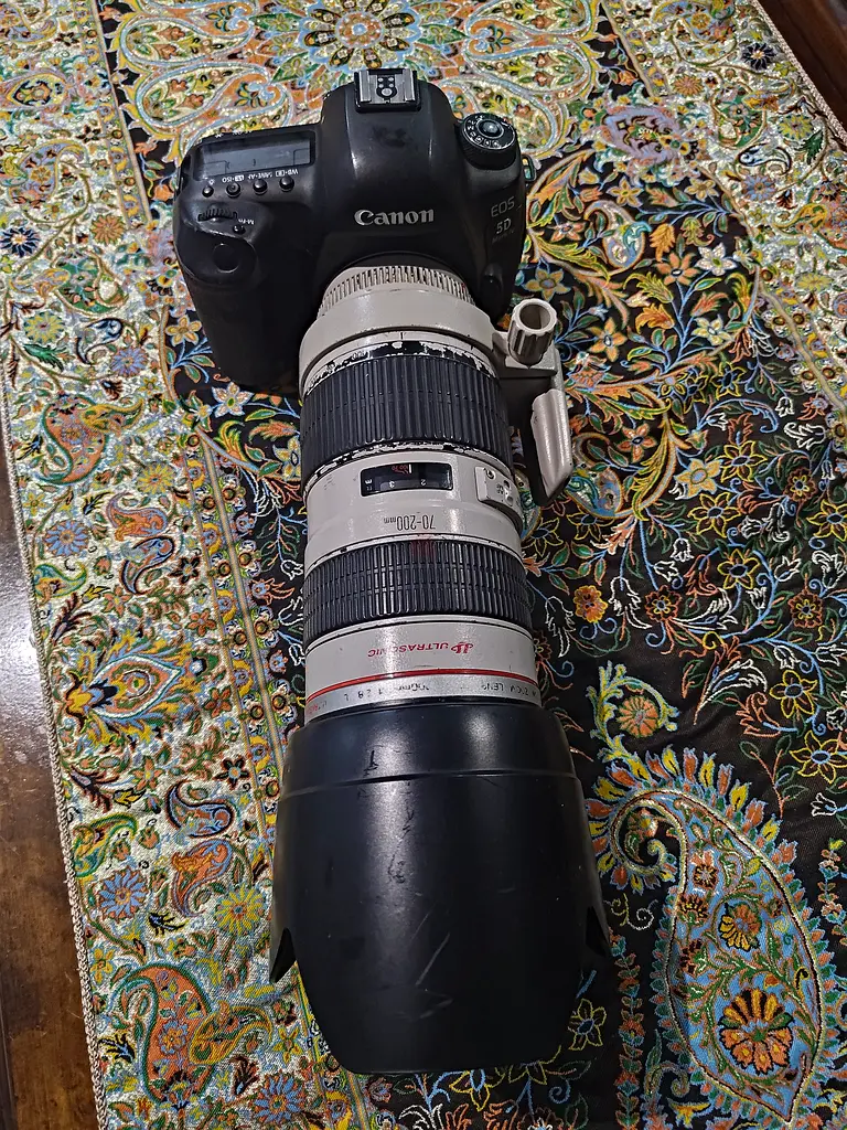 Canon 5d IV with 70-200mm