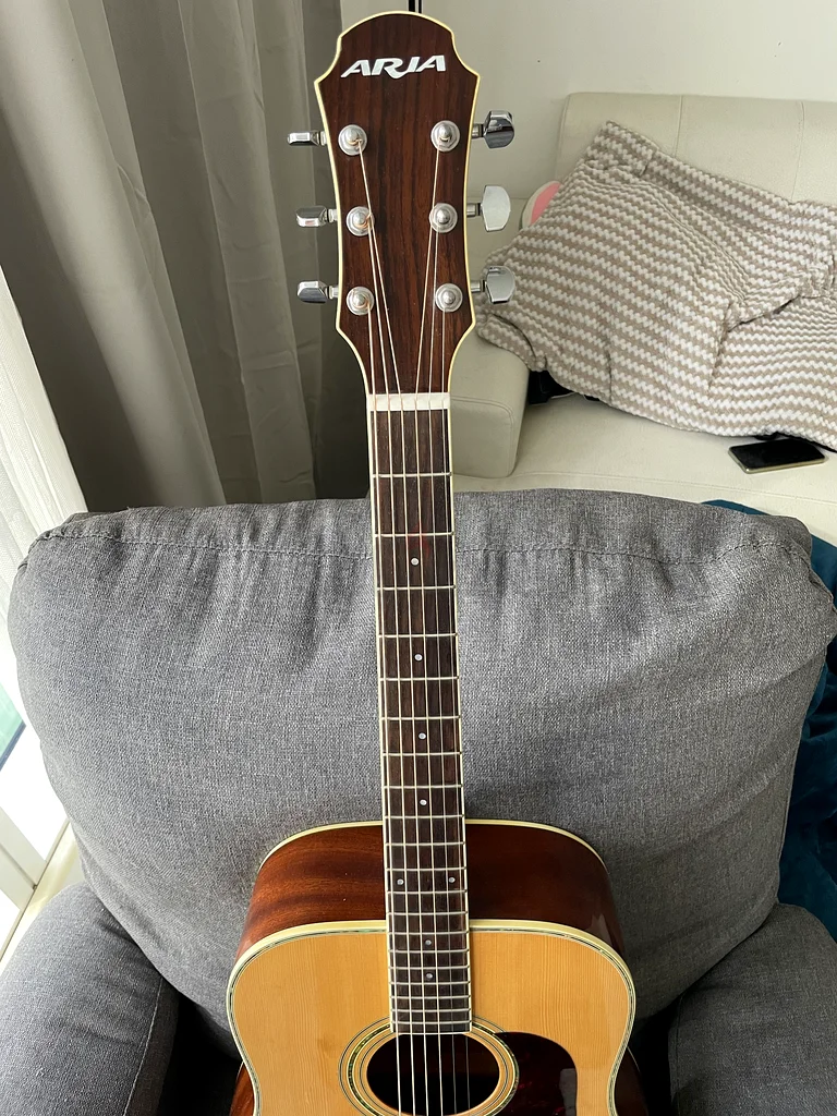 Aria Acoustic Solid Top Guitar63173865059971113
