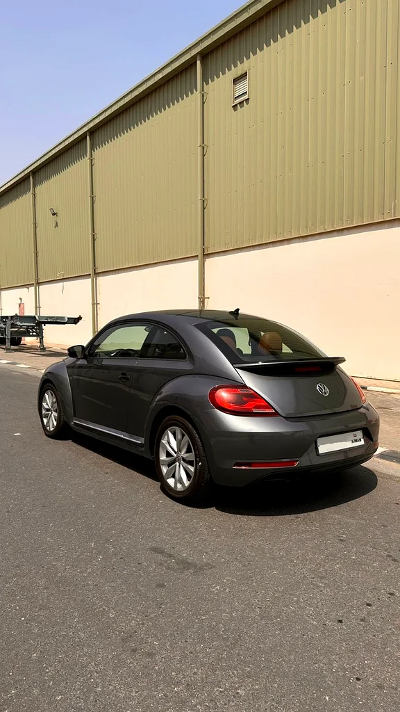 Volkswagen Beetle631522904887051112