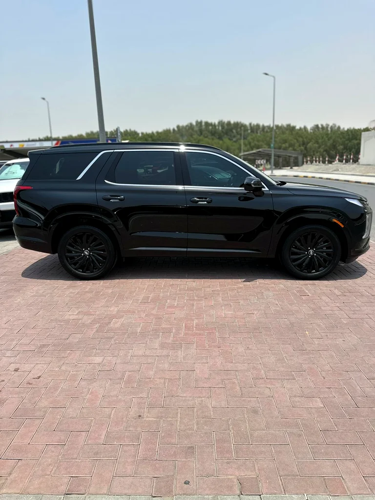 Hyundai Palisade 2025  CLEAN TITLE  LUSH CONDITION63150944907393111