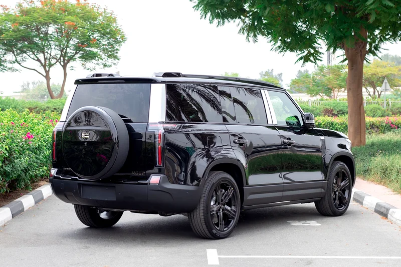 RIX 01 VIP 6 Seater | LONG RANGE BATTERY |63398476948226113