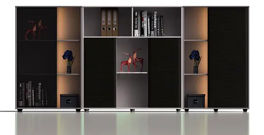 Executive room low cabinet