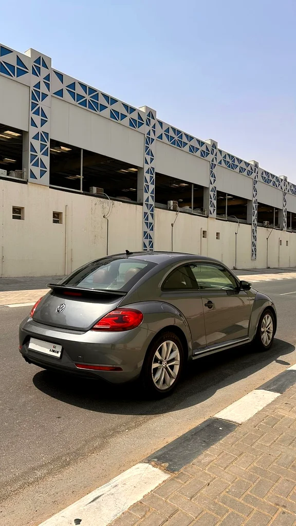 Volkswagen Beetle63152290488705113