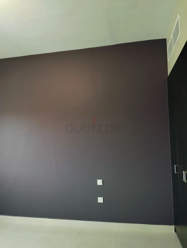 Dubai wall painter63216842613634111