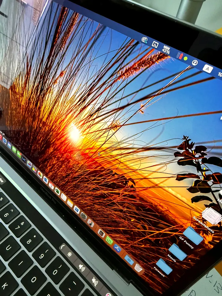 MacBook Pro 13" (Mid 2020)63254996704641113