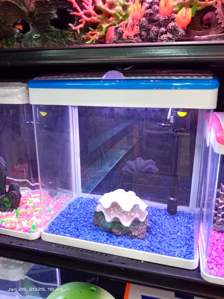 UAE Handmade Fish Tanks: Customized Glass Aquariums63232159462401111