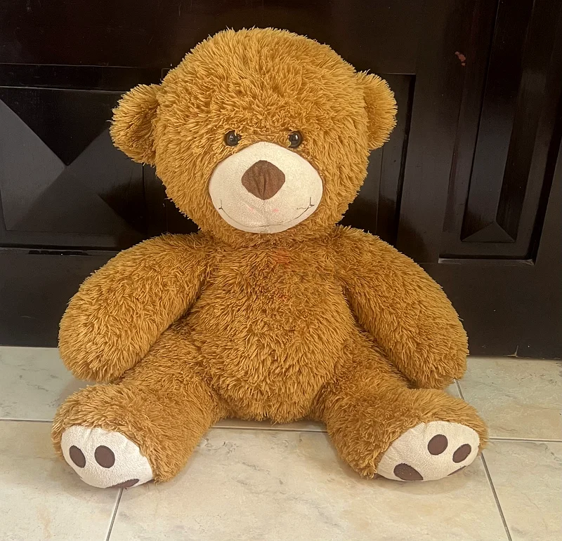 دب محشي63207400902658110