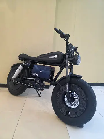 Electric fhat bike