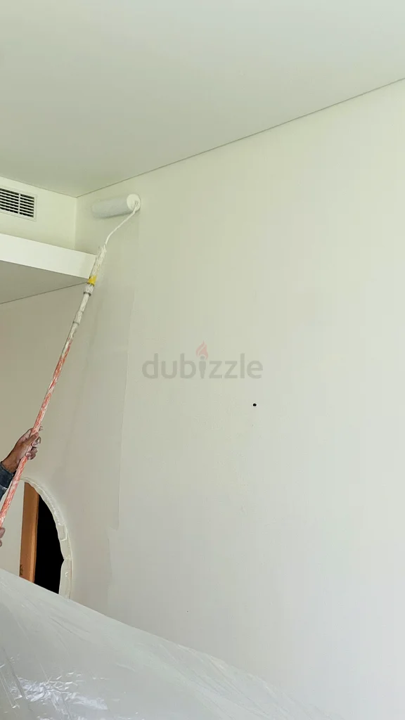 2BHK Paint service63216842586755112