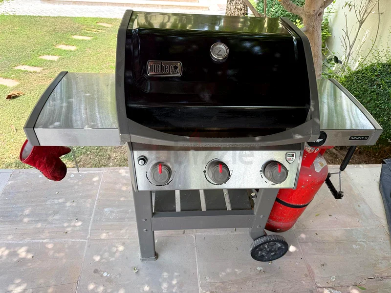 Sizzle Up Summer with This Premium Gas BBQ Grill!632529485212171122