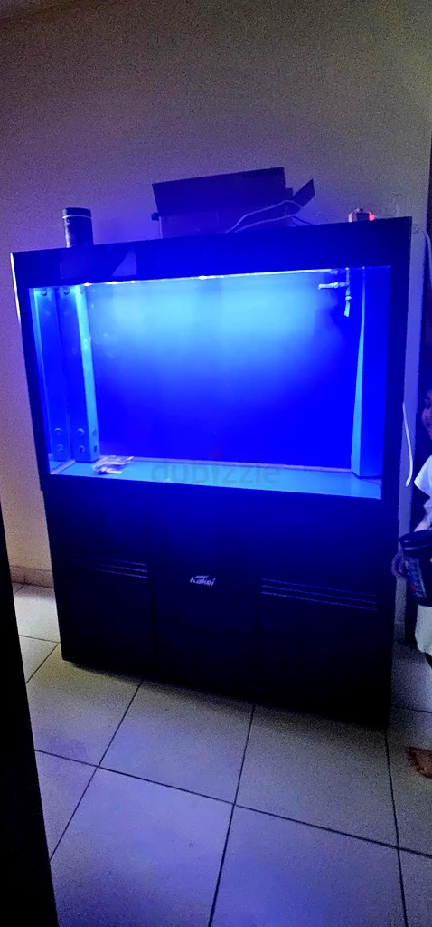 Aquarium for sale63232648828419111