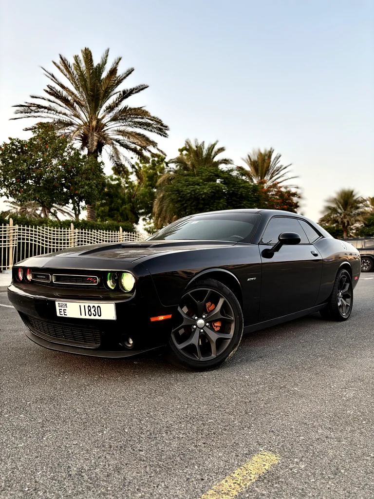 DODGE CHALLENGER / GCC / 2015 / AGENCY MAINTAINED/ ORIGINAL PAINT / 2KEYS63173488424195110
