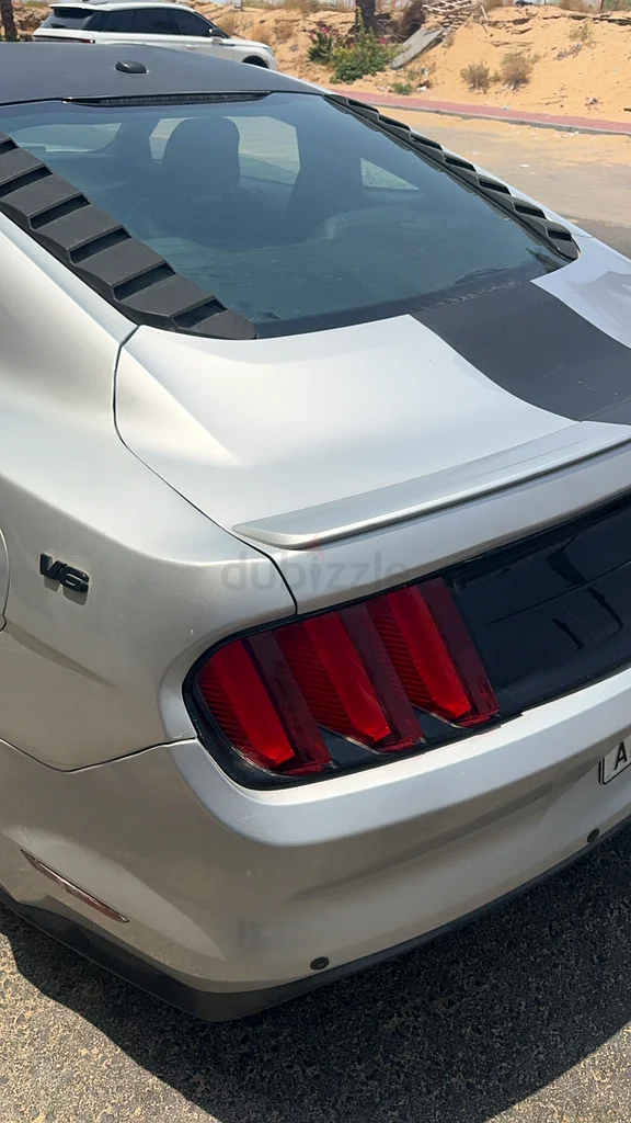MUSTANG FAST SALE SERIOUS63148646814593112