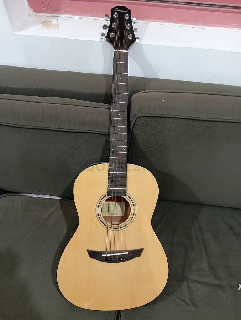 Haineswood Rookie Series Acoustic Guitar - Unique Sound Awaits!63201681337731112