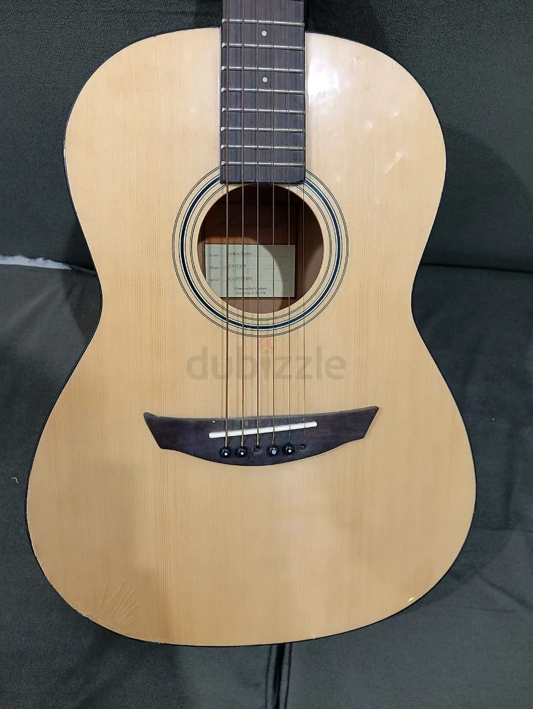 Haineswood Rookie Series Acoustic Guitar - Unique Sound Awaits!63201681337731111