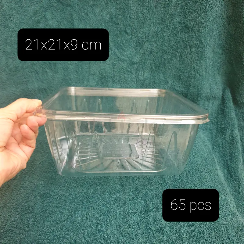 Clear Plastic Food Storage Containers - New63211904245763111