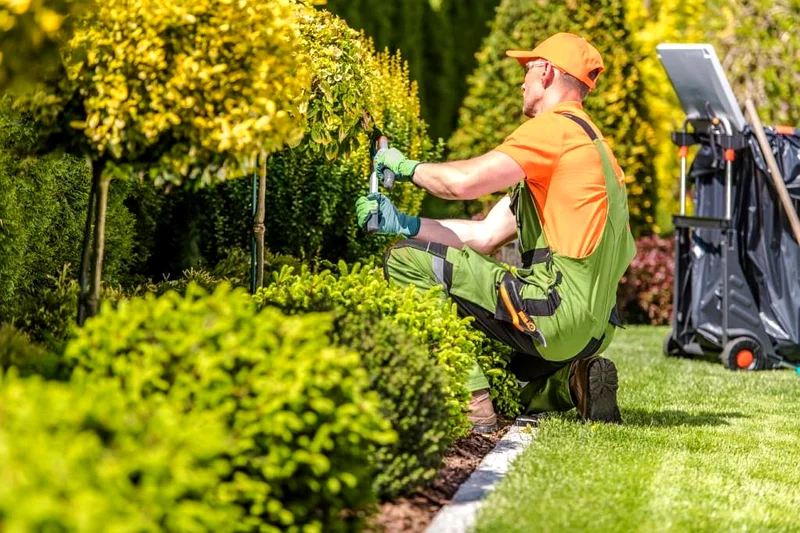 Garden Maintenance Outdoor maintenance63220333130625111