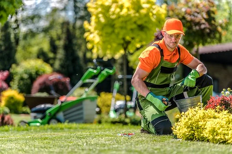 Garden Maintenance Outdoor maintenance63220333130625112
