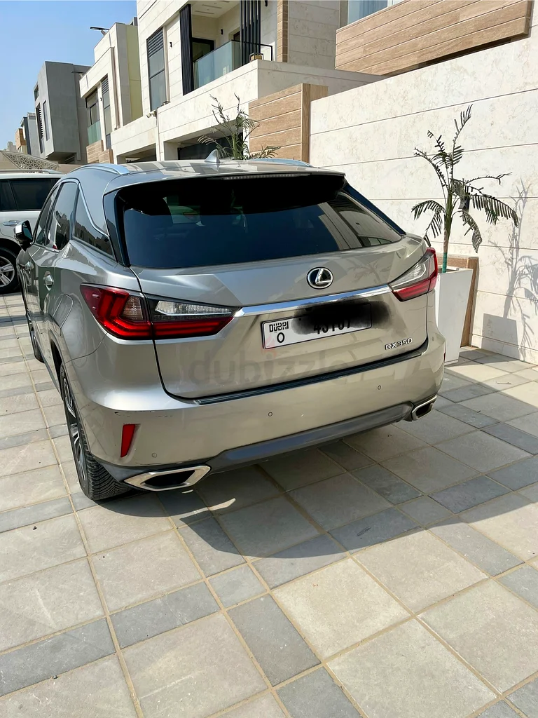 عجمان / الياسمين63148647772929112