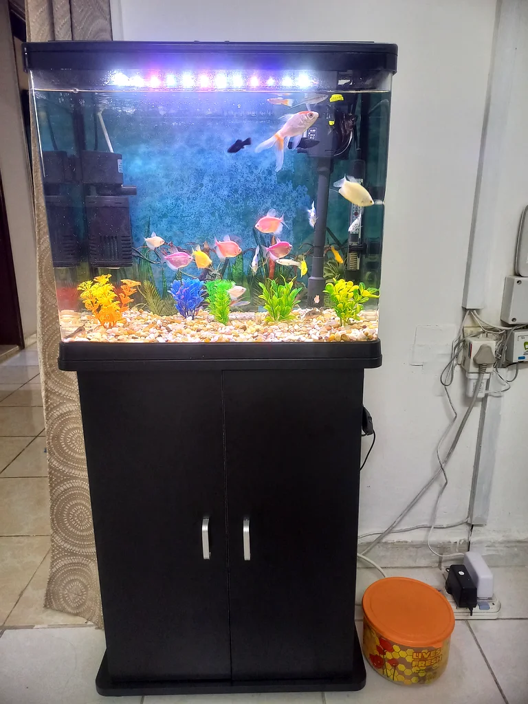 Aquarium63232649076865119