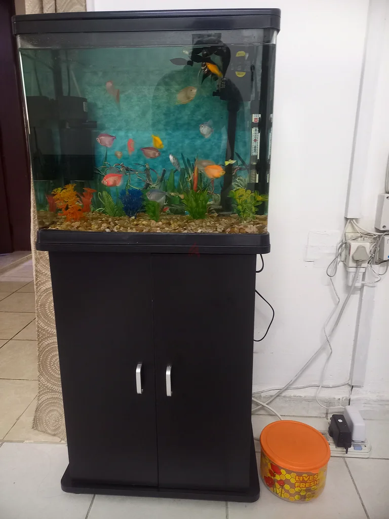 Aquarium63232649076865111