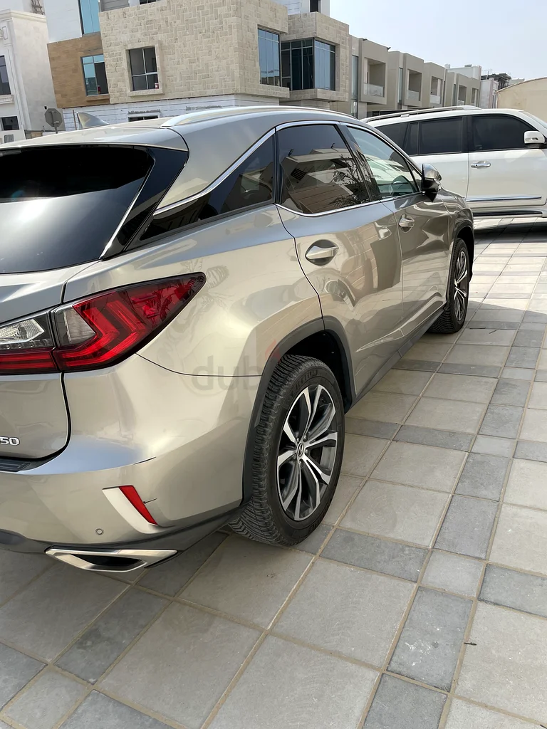 عجمان / الياسمين63148647772929113