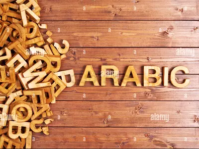Arabic Language tutor lAdy