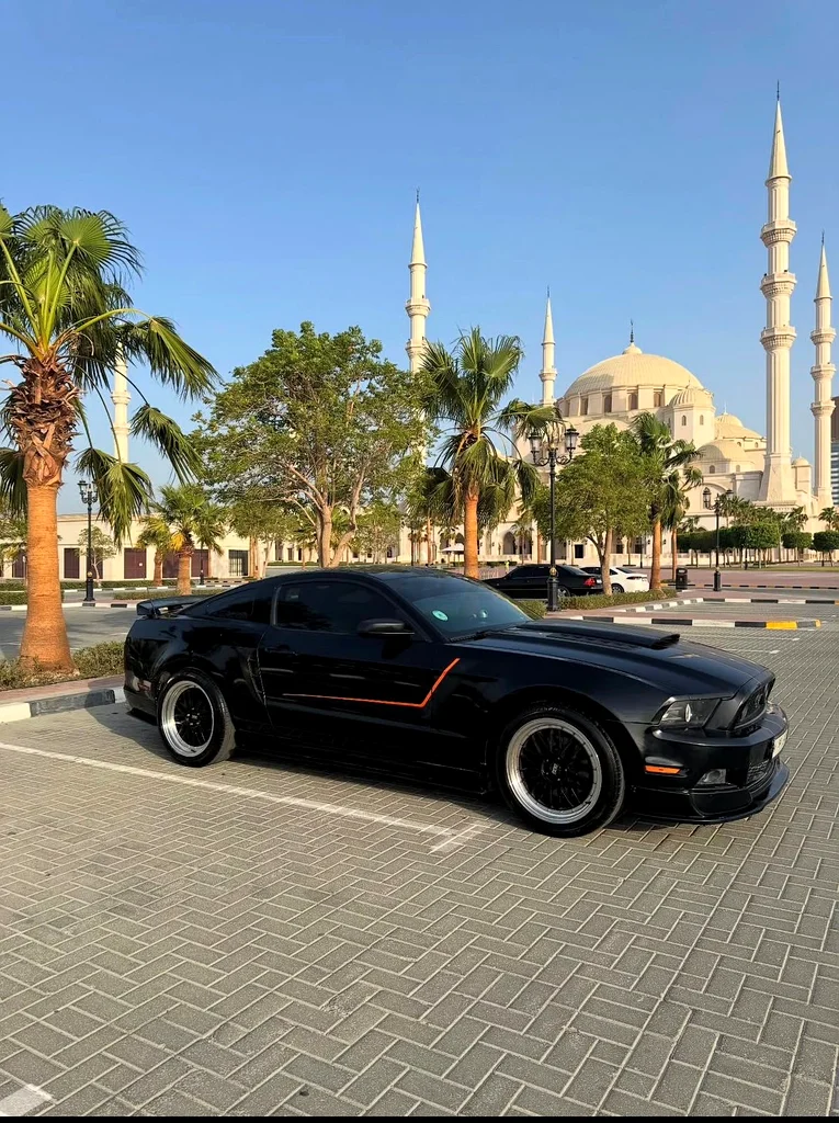 Ford Mustang 2014 50th Aniversary Edition63156991838338111