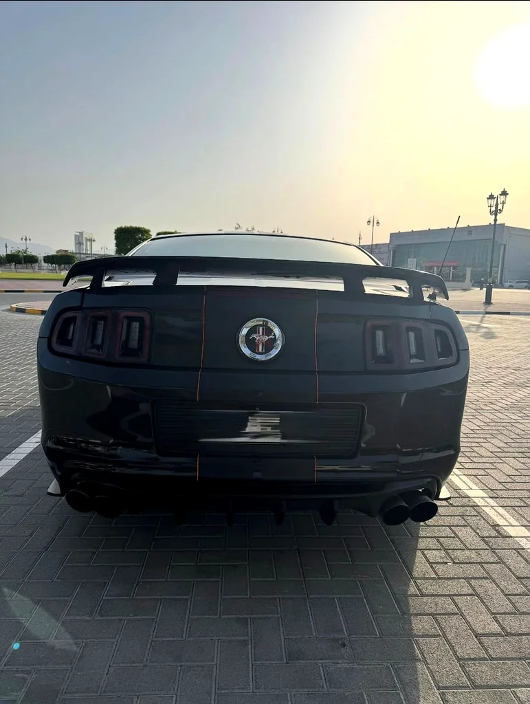Ford Mustang 2014 50th Aniversary Edition63156991838338113