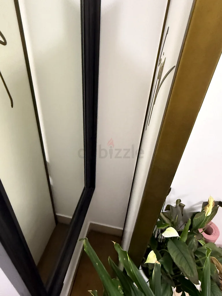 مرآة زانوتي63222842504321111