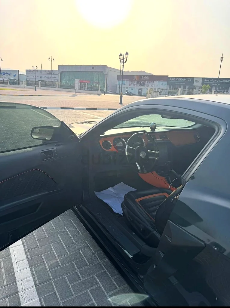 Ford Mustang 2014 50th Aniversary Edition63156991838338114