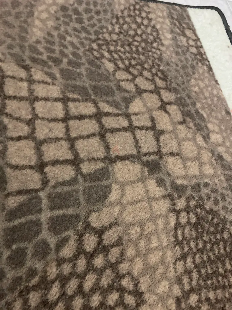 Small carpet63209840045954112