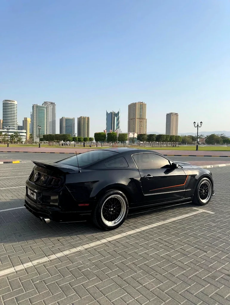 Ford Mustang 2014 50th Aniversary Edition63156991838338112