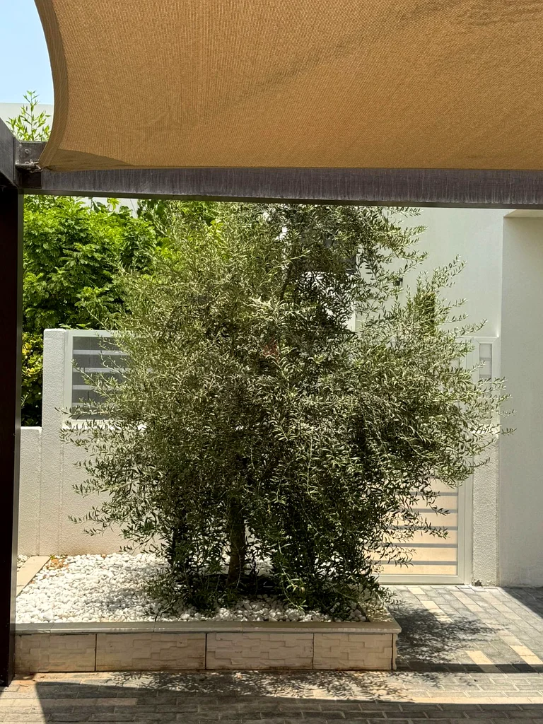 ألمنيوم وزجاج وباب UPVC63183260749569113
