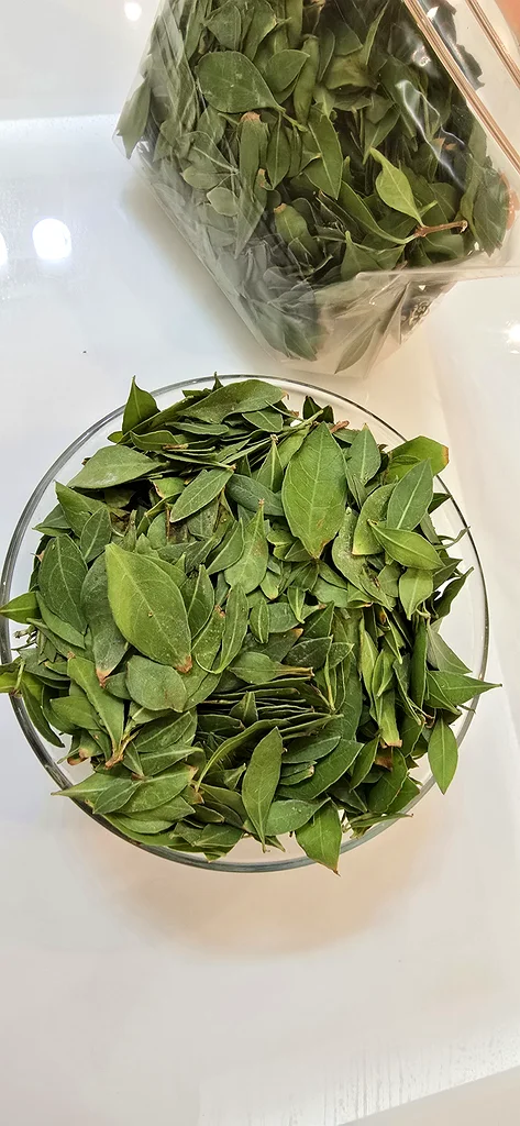 Fresh Organic Henna Mehndi Leaves Available. From our garden to your hands,  pure and fresh63241132063745114