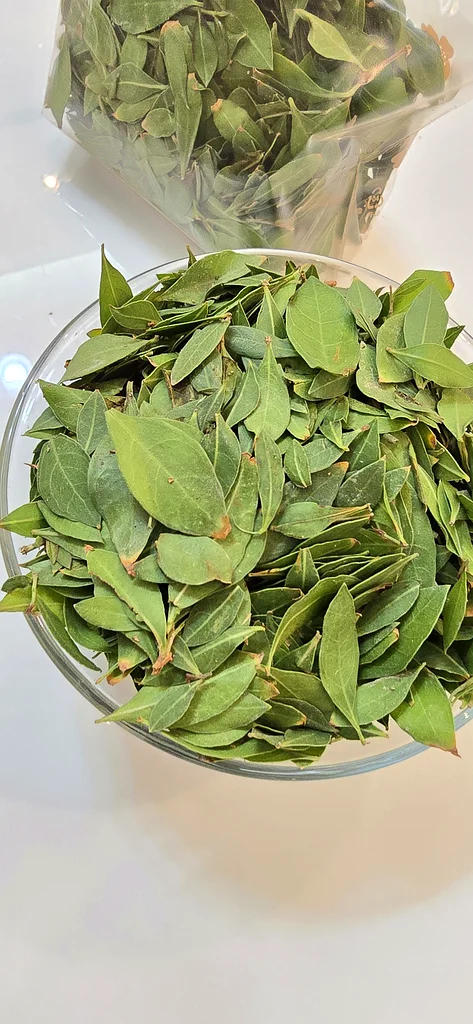 Fresh Organic Henna Mehndi Leaves Available. From our garden to your hands,  pure and fresh63241132063745113