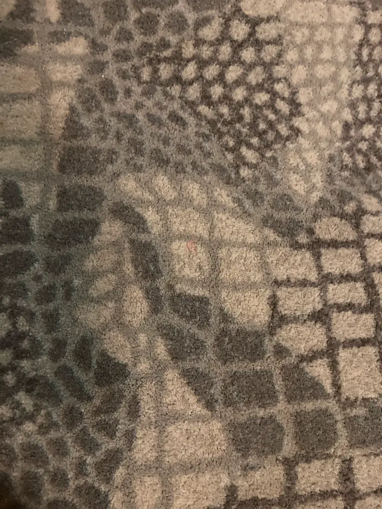 Small carpet63209840045954113