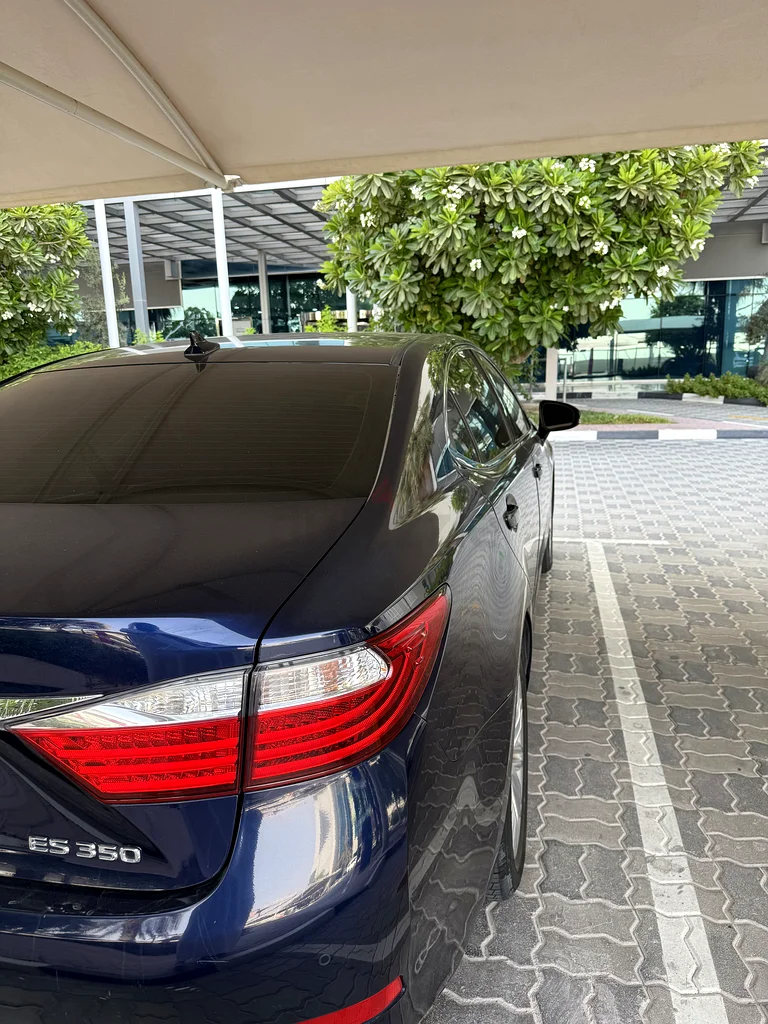 دبي ورسان632272507939871114